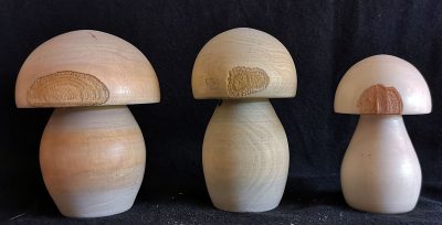 champignons-3-x